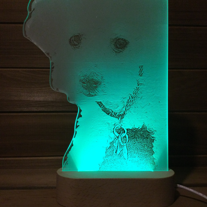 10 inches tall dog/cat LED lamp